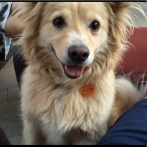 Meet your Posher, Jerry